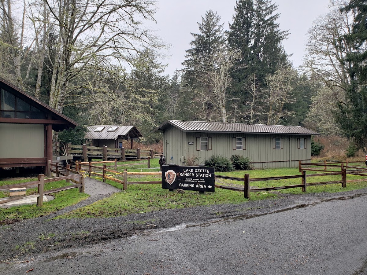 Cape Alava Trail