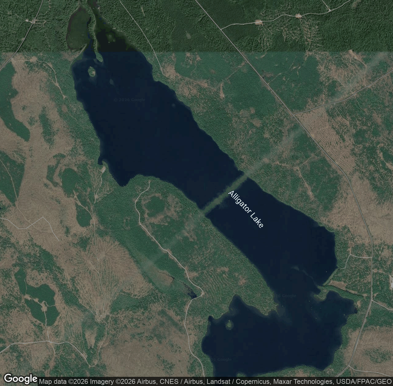 Alligator Lake