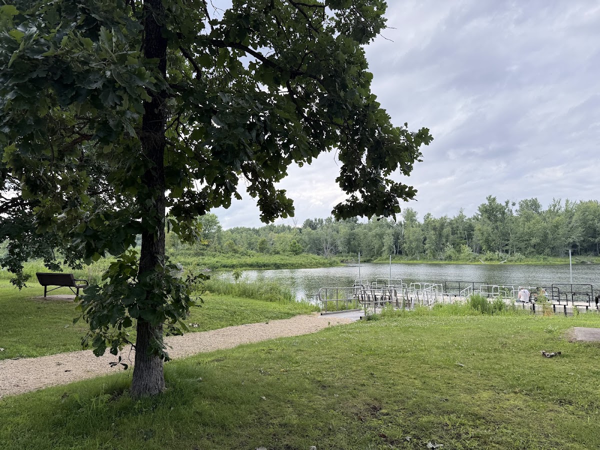 Frog Pond