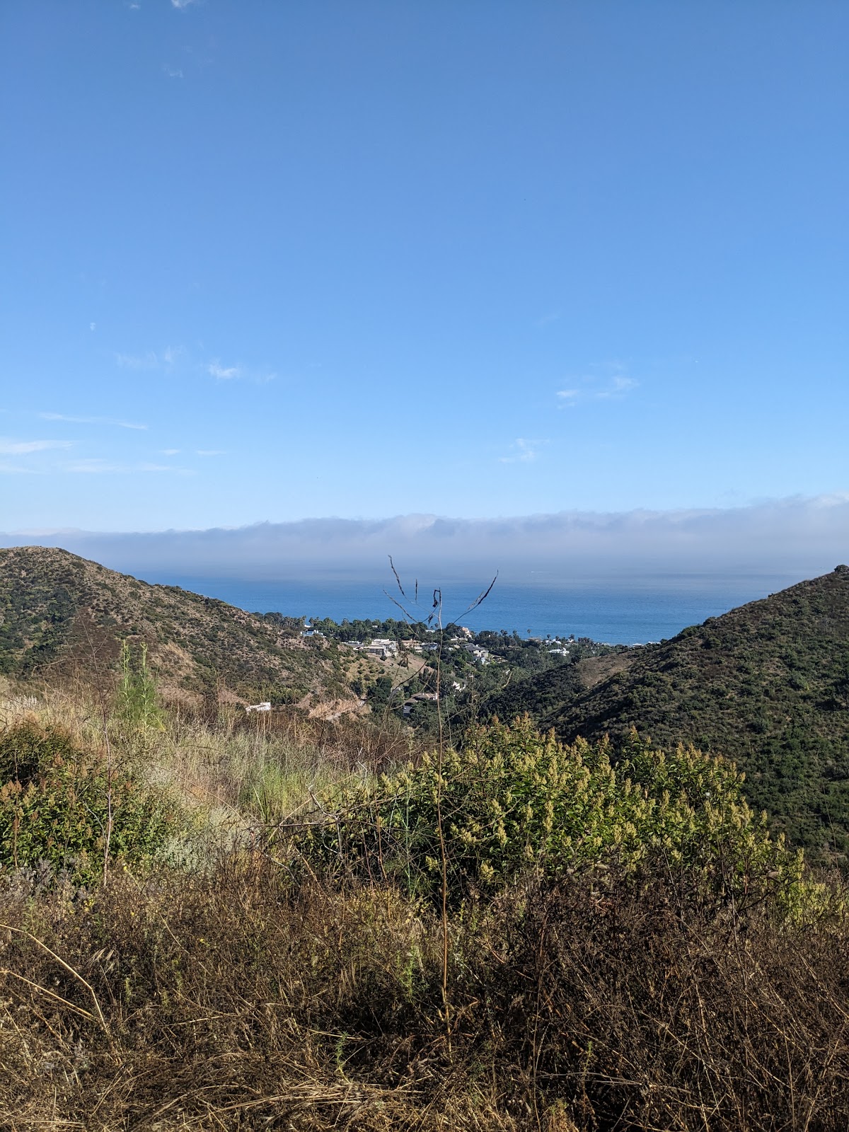 Latigo Creek