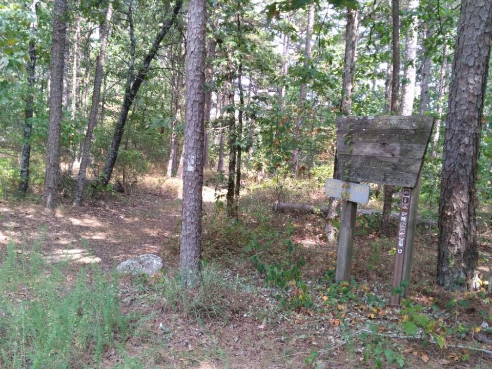 Wildcat Mtn Trail - East Leg