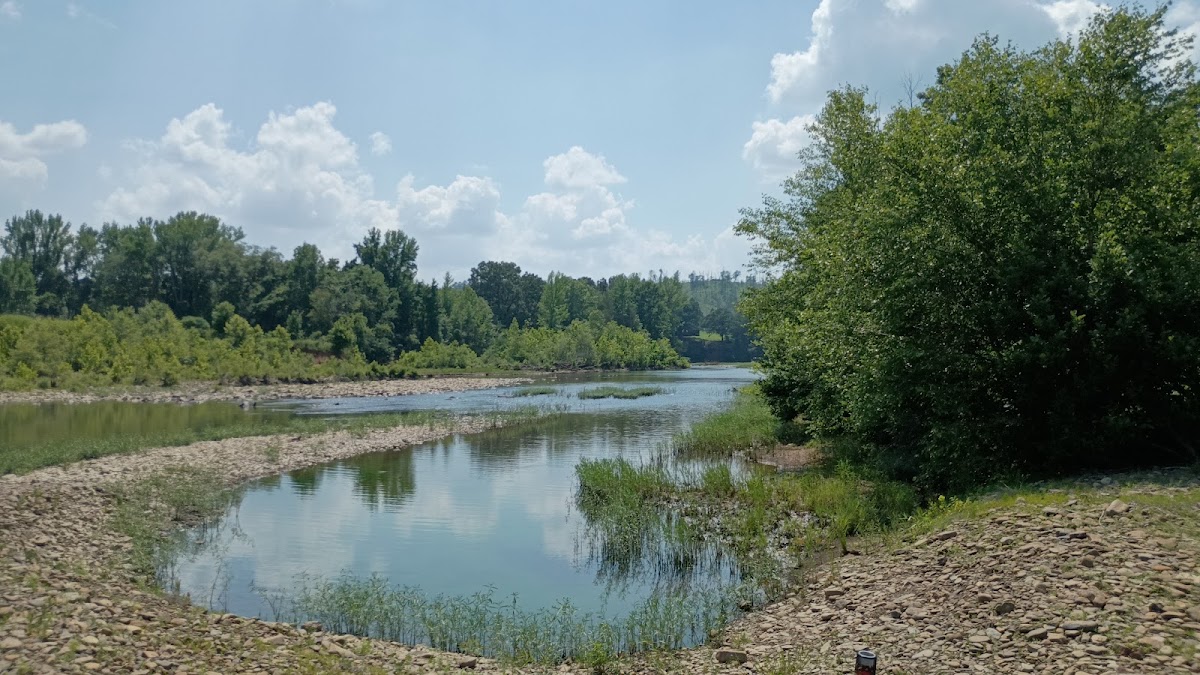 Illinois Bayou