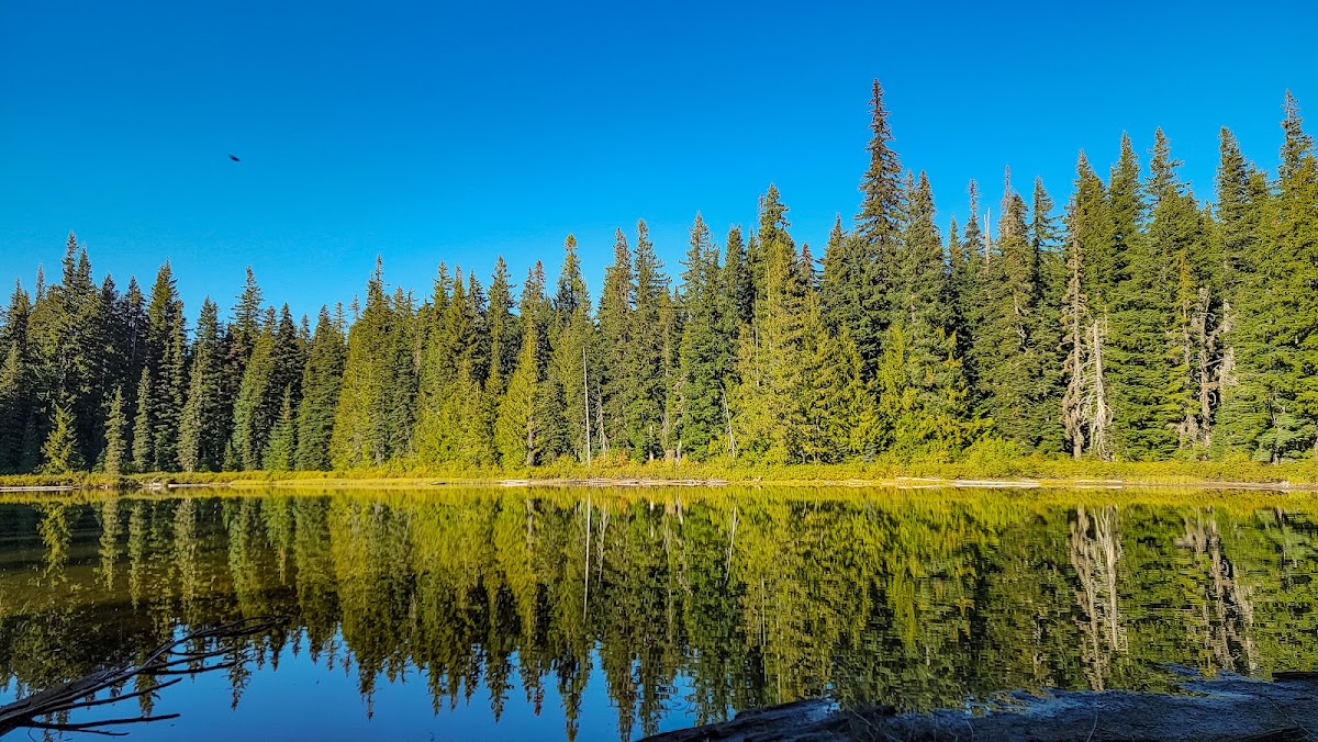 Forlorn Lakes