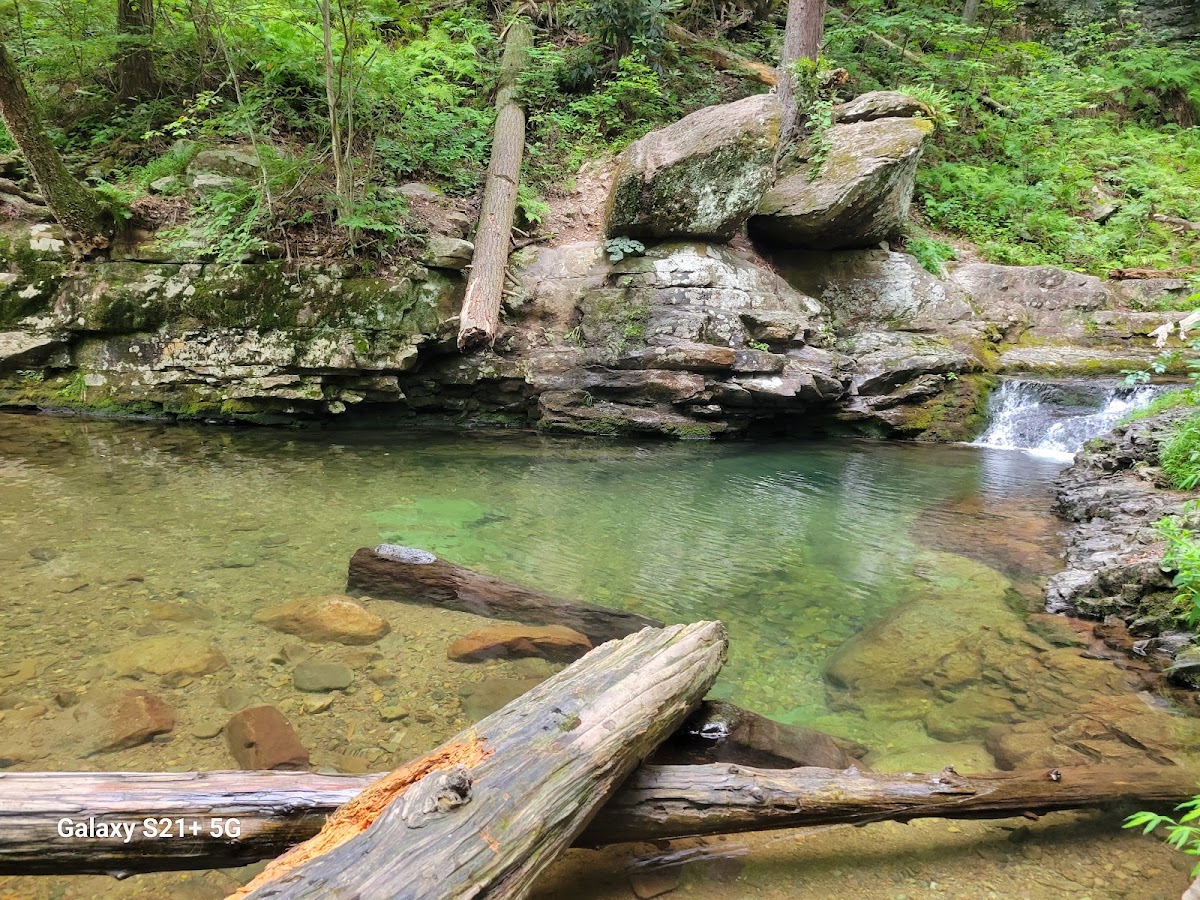 Dunnfield Creek Falls Swimming Hole