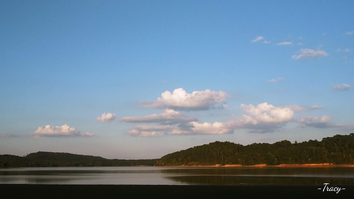 Deer Creek