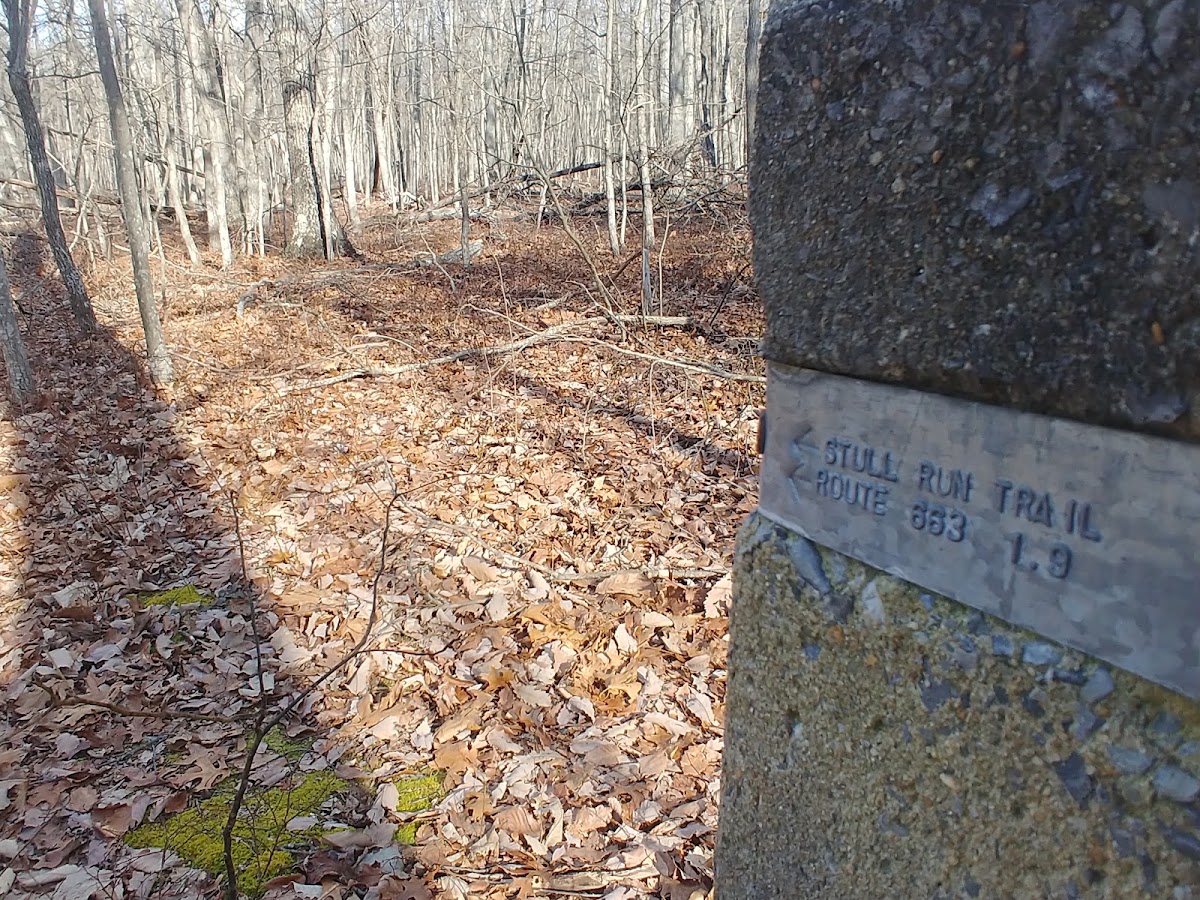 Stull Run