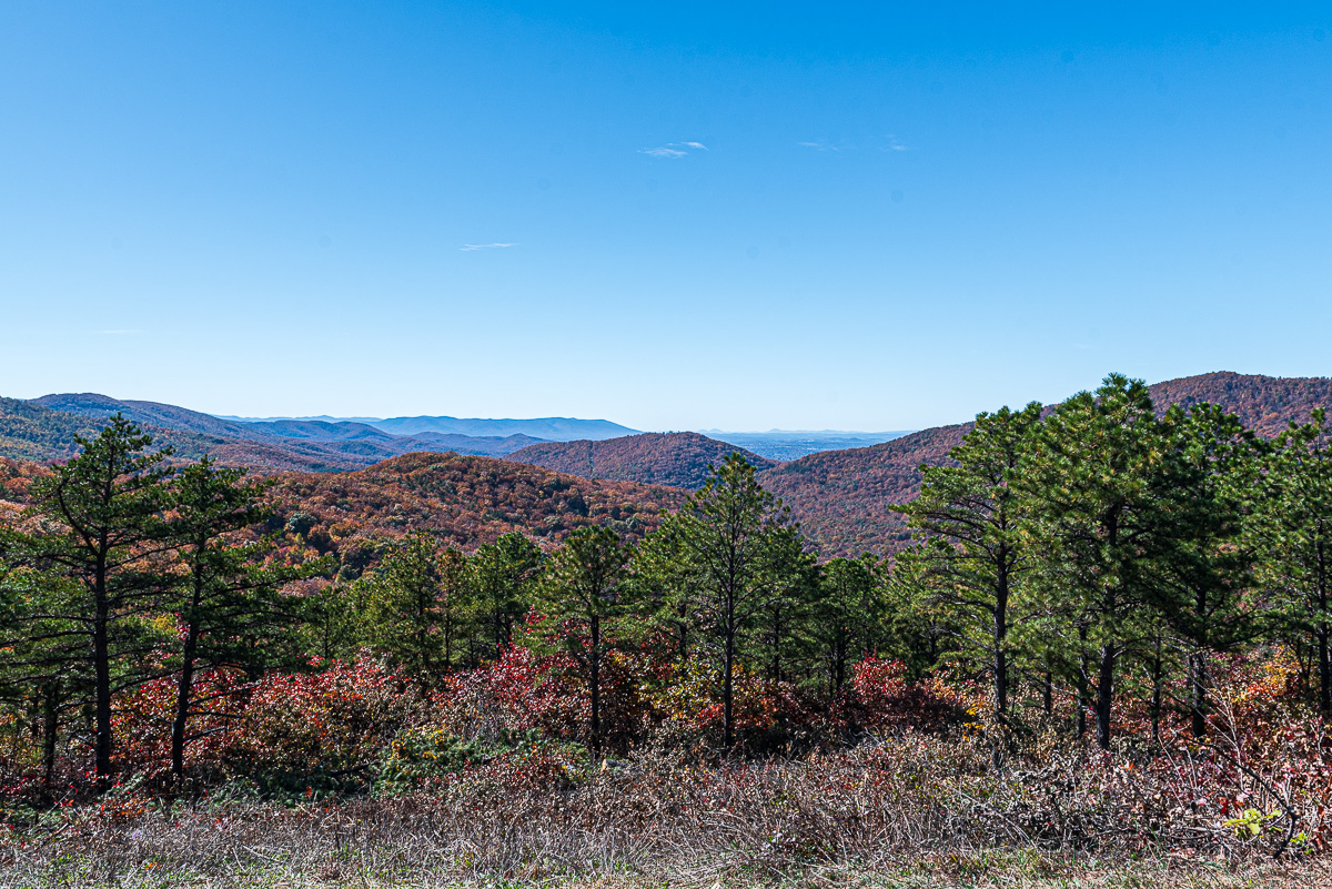 Sawmill Run