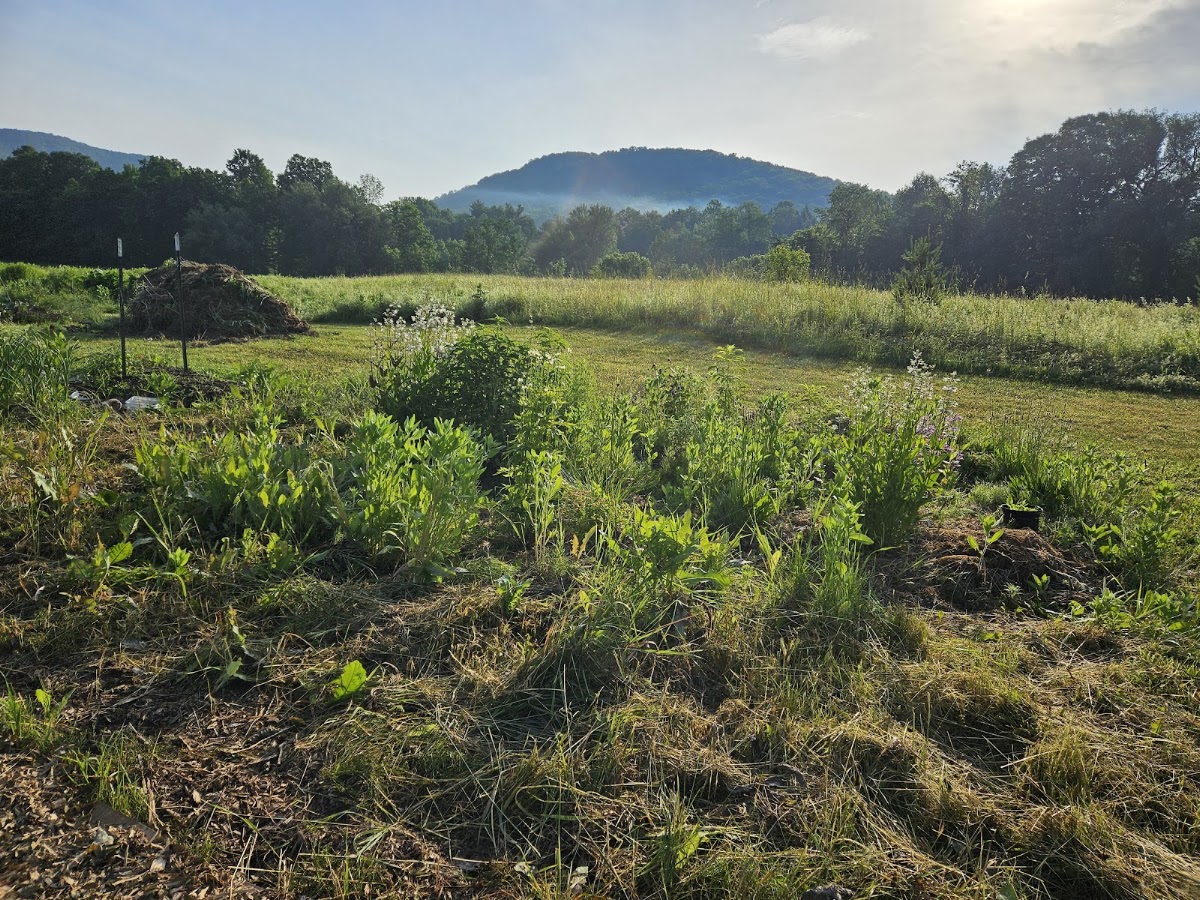 Huntington Community Forest