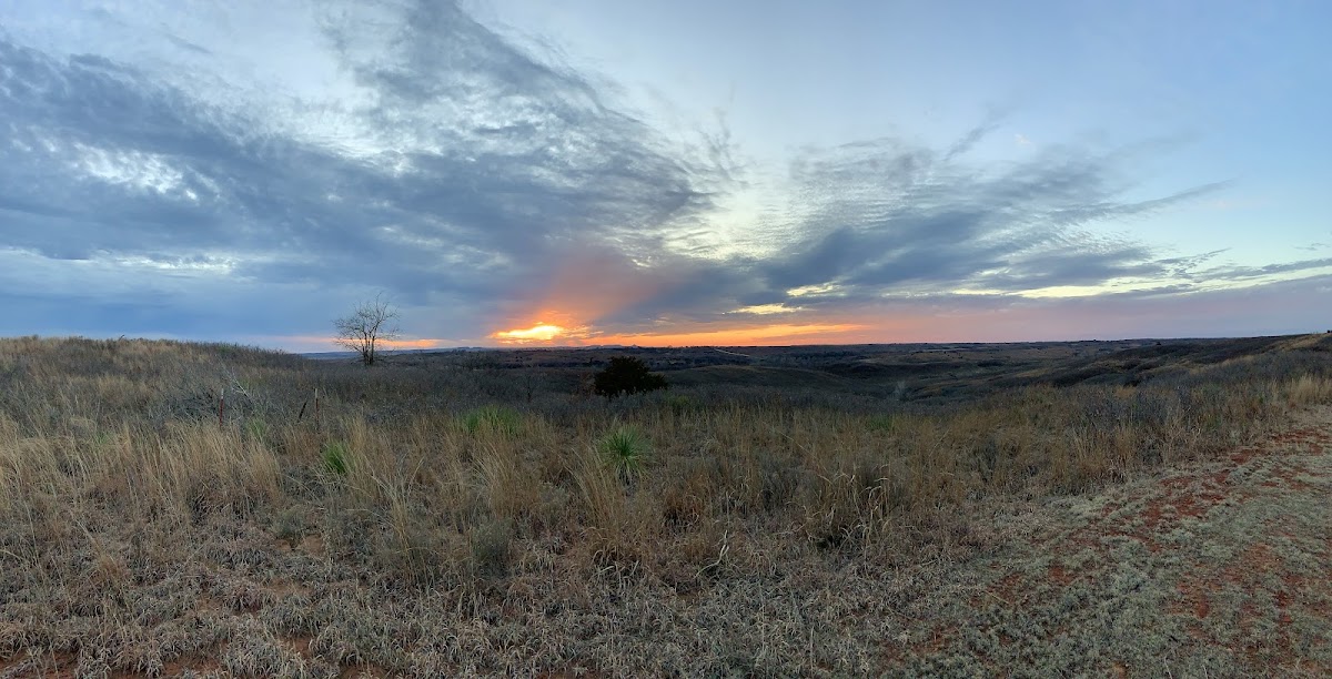 Packsaddle Wildlife Management Area
