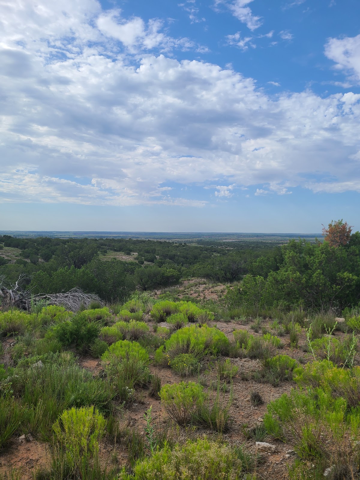 Sandy Sanders Wildlife Management Area