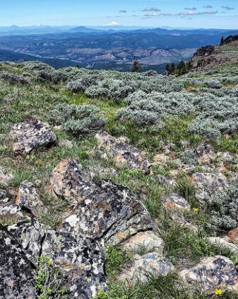 Ochoco Mountains