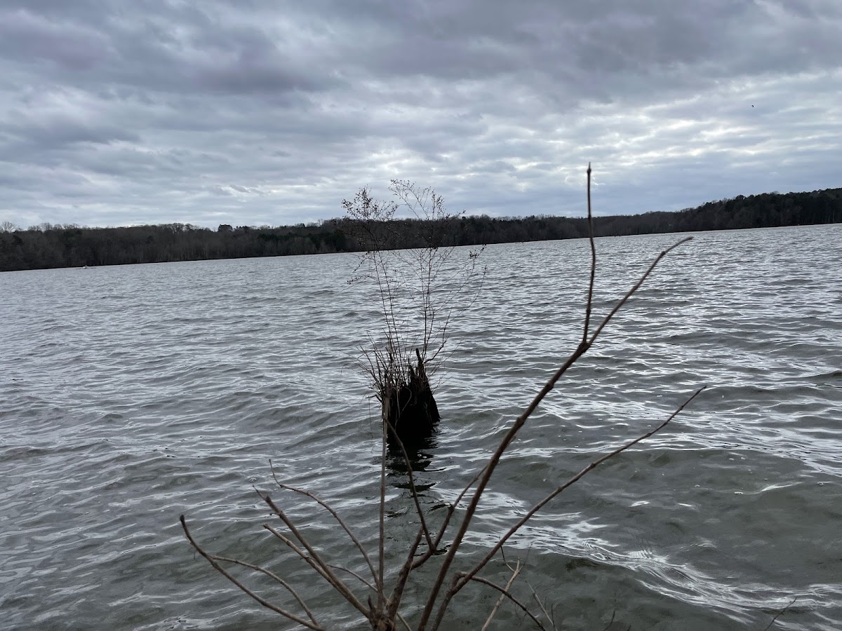 Reservoir 51
