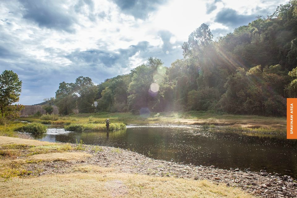 Spavinaw Wildlife Management Area
