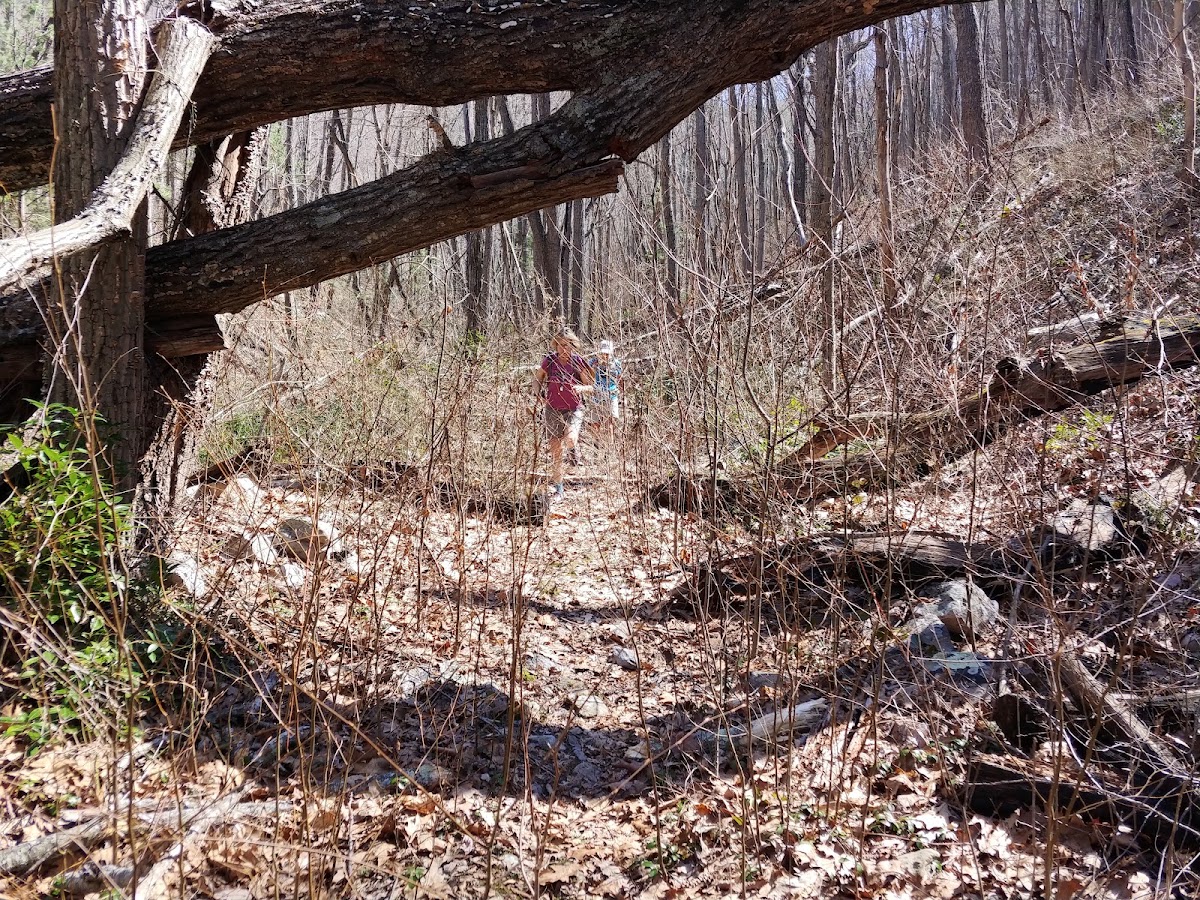 Onemile Run