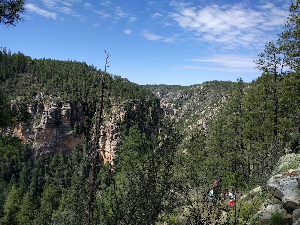 West Clear Creek #17