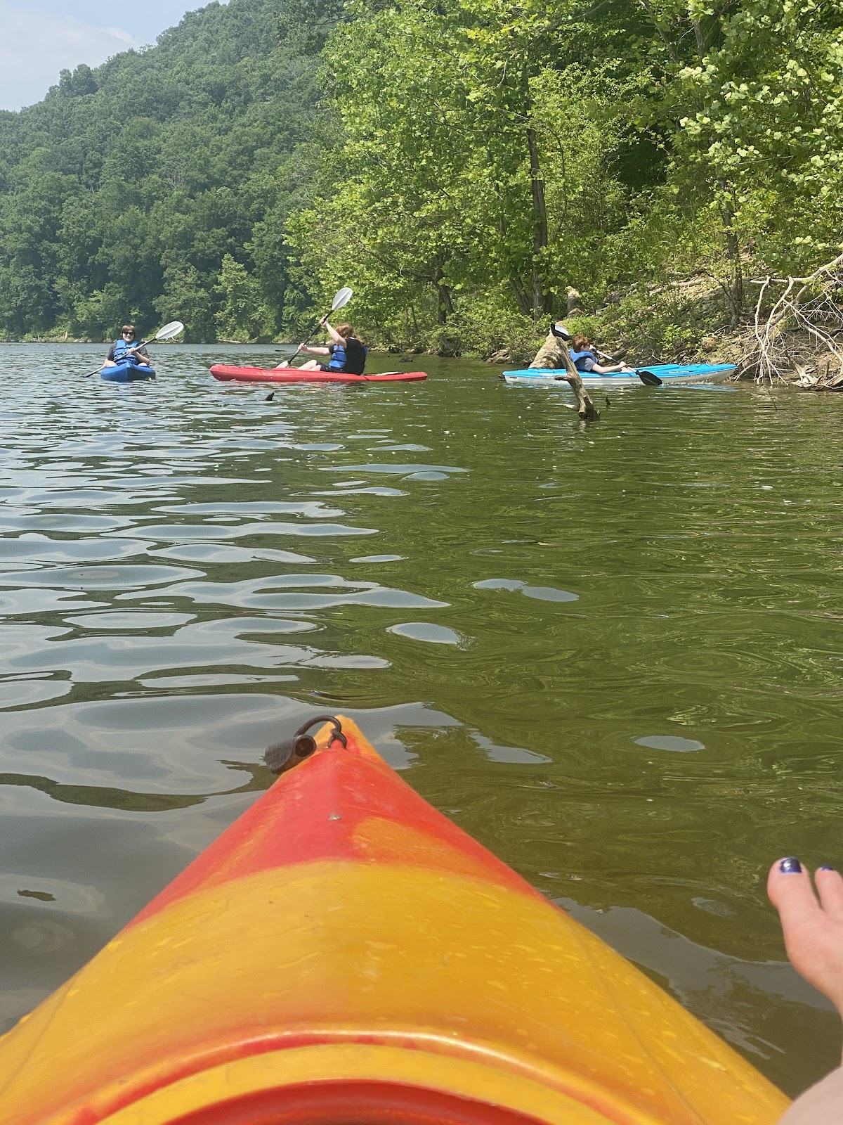 North Fork Licking River
