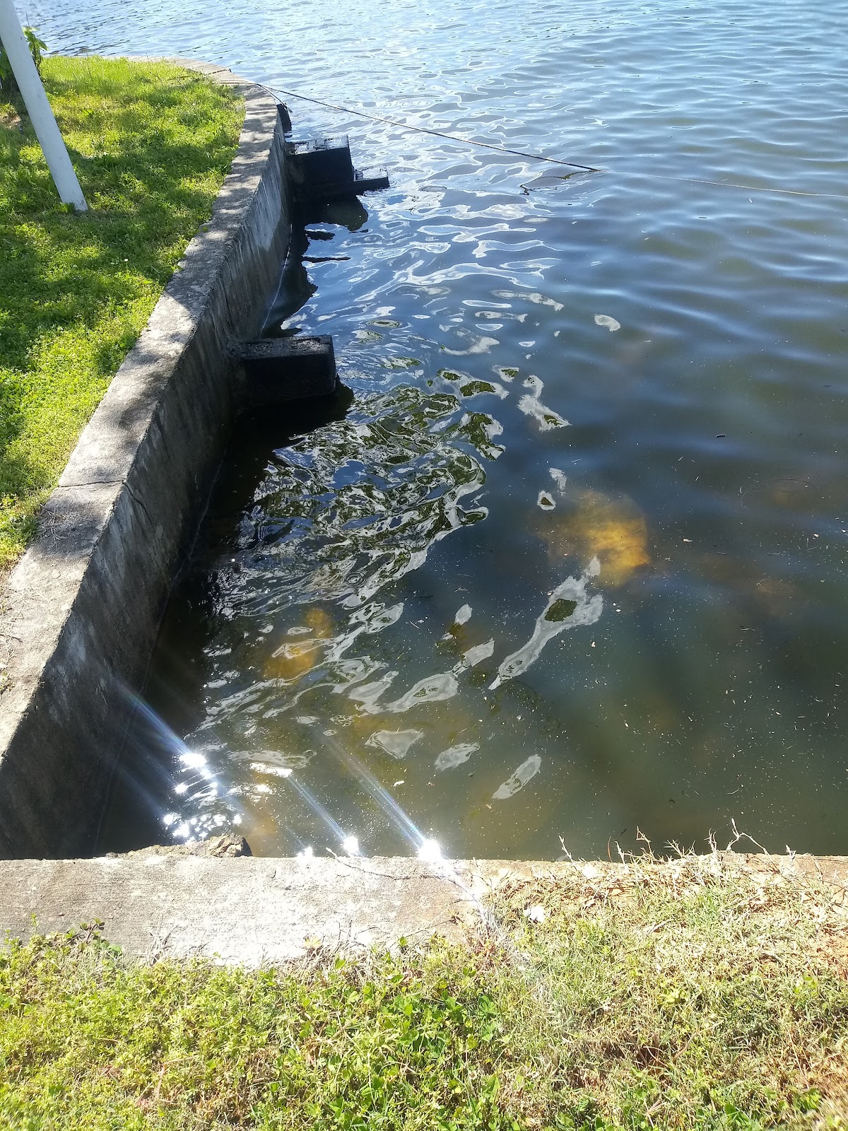 Lake Secession
