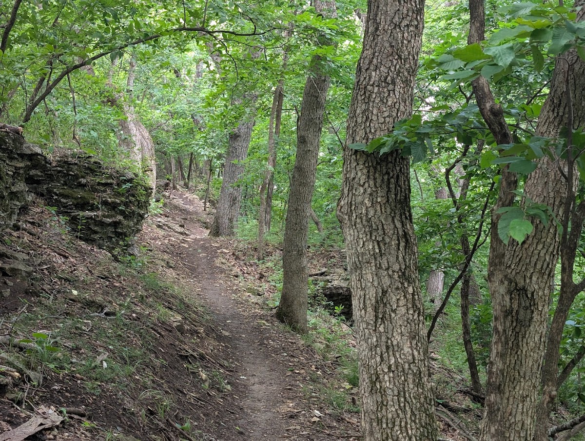 Cedar Niles Park