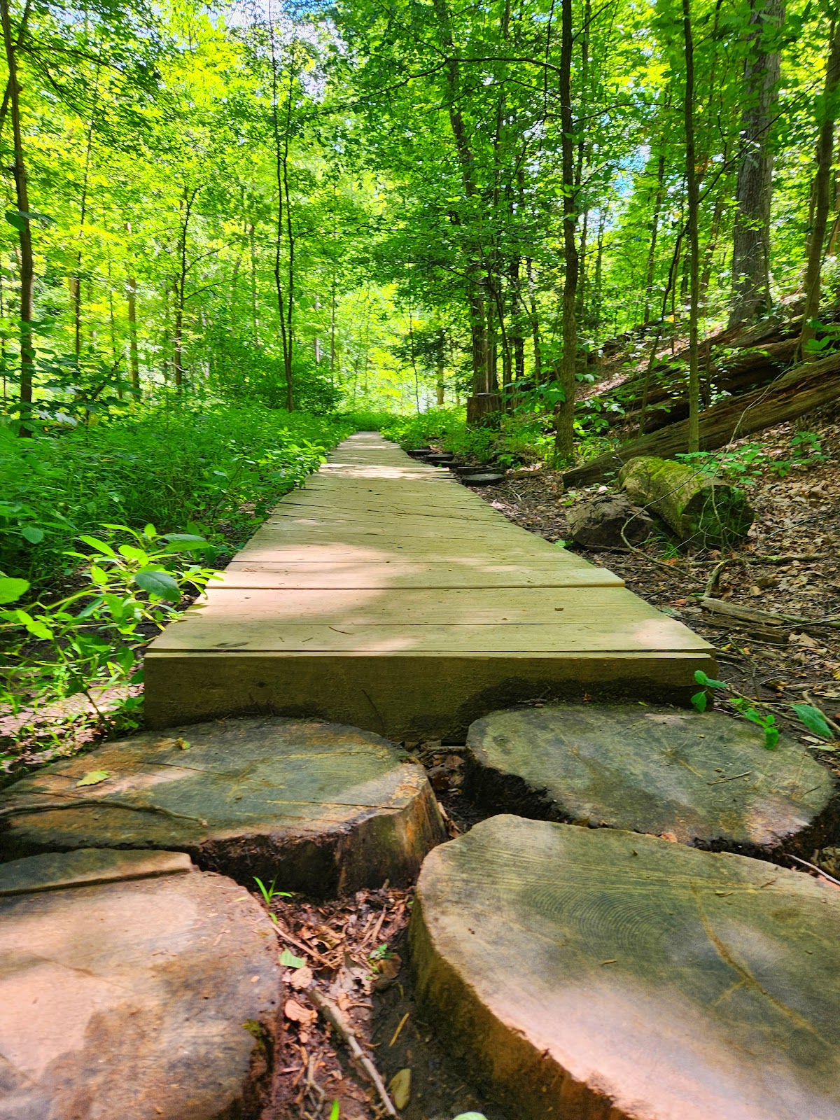 Gorge Loop Trail