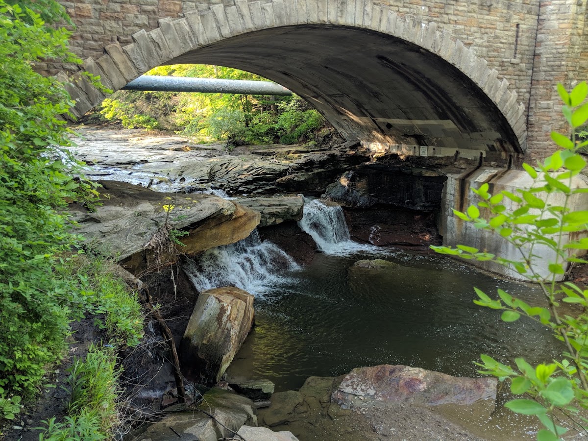 Backcountry Campsite Access Trail