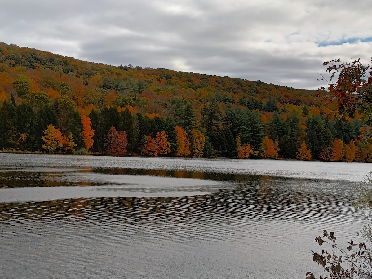 Lake Watrous
