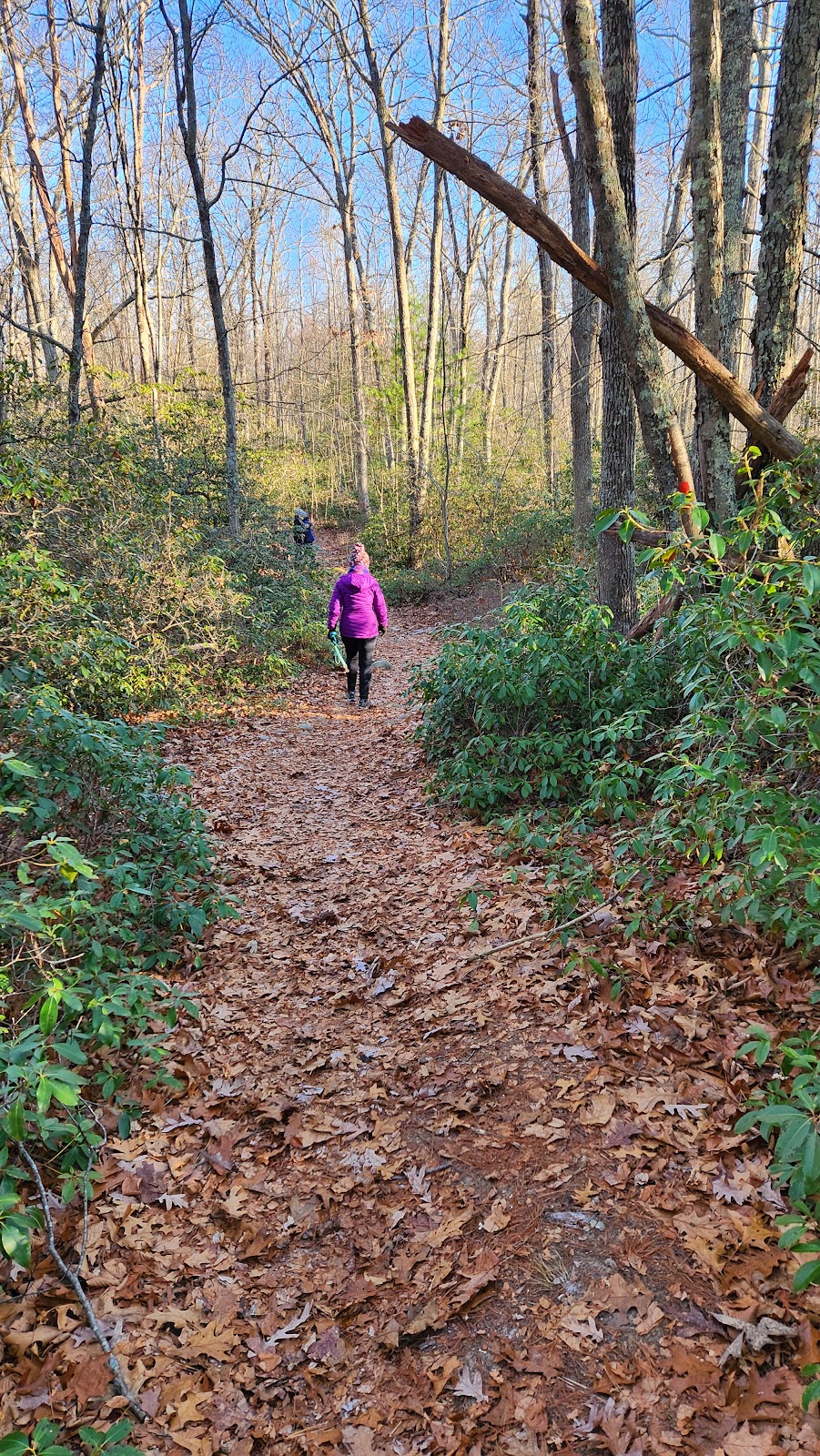 Klutz Trail