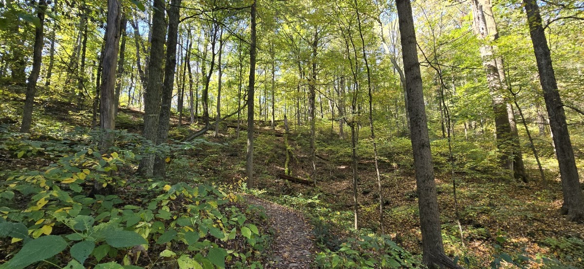 Perkins Trail