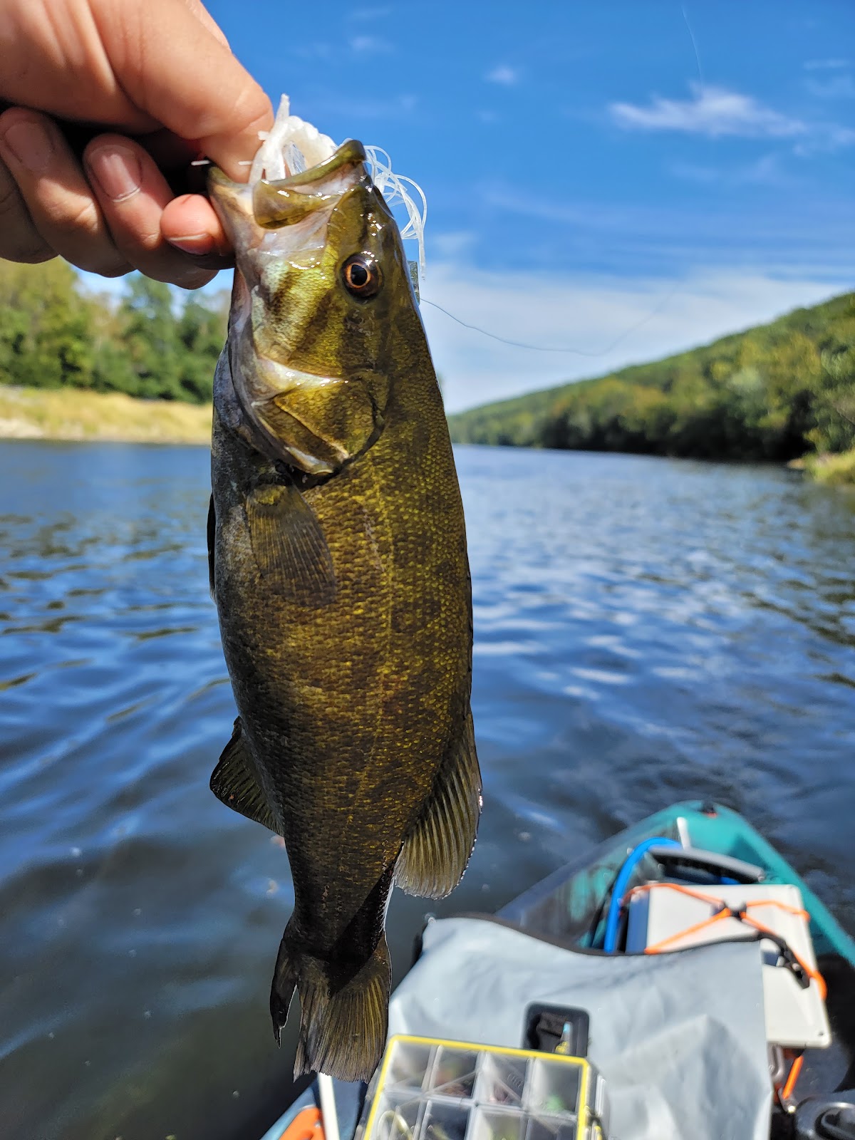 Lehigh River