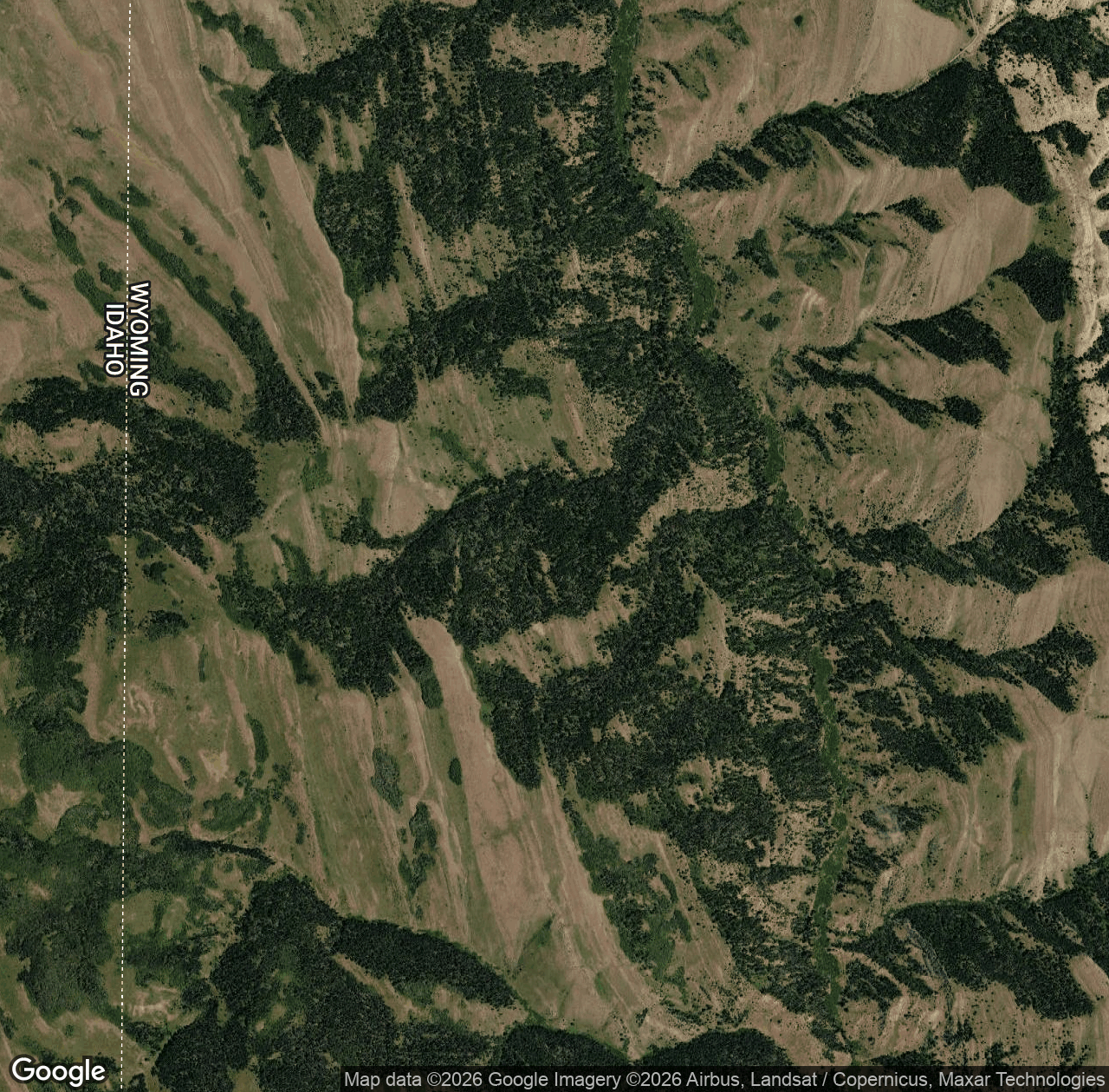 Spring Creek (West Side)