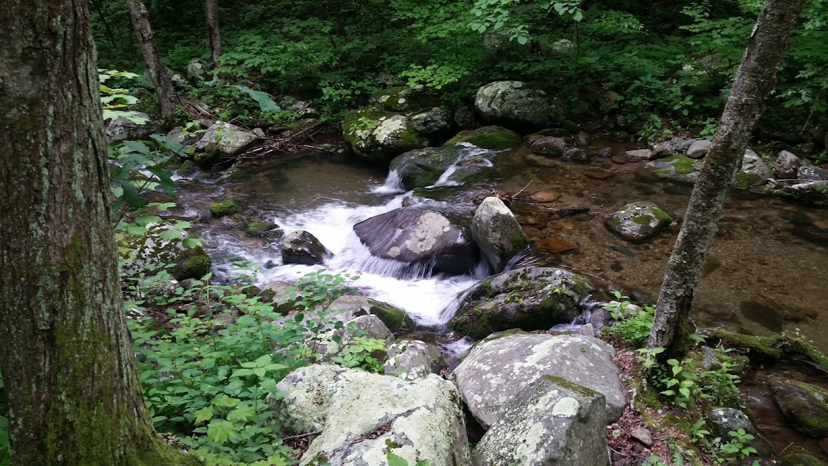 Conway River