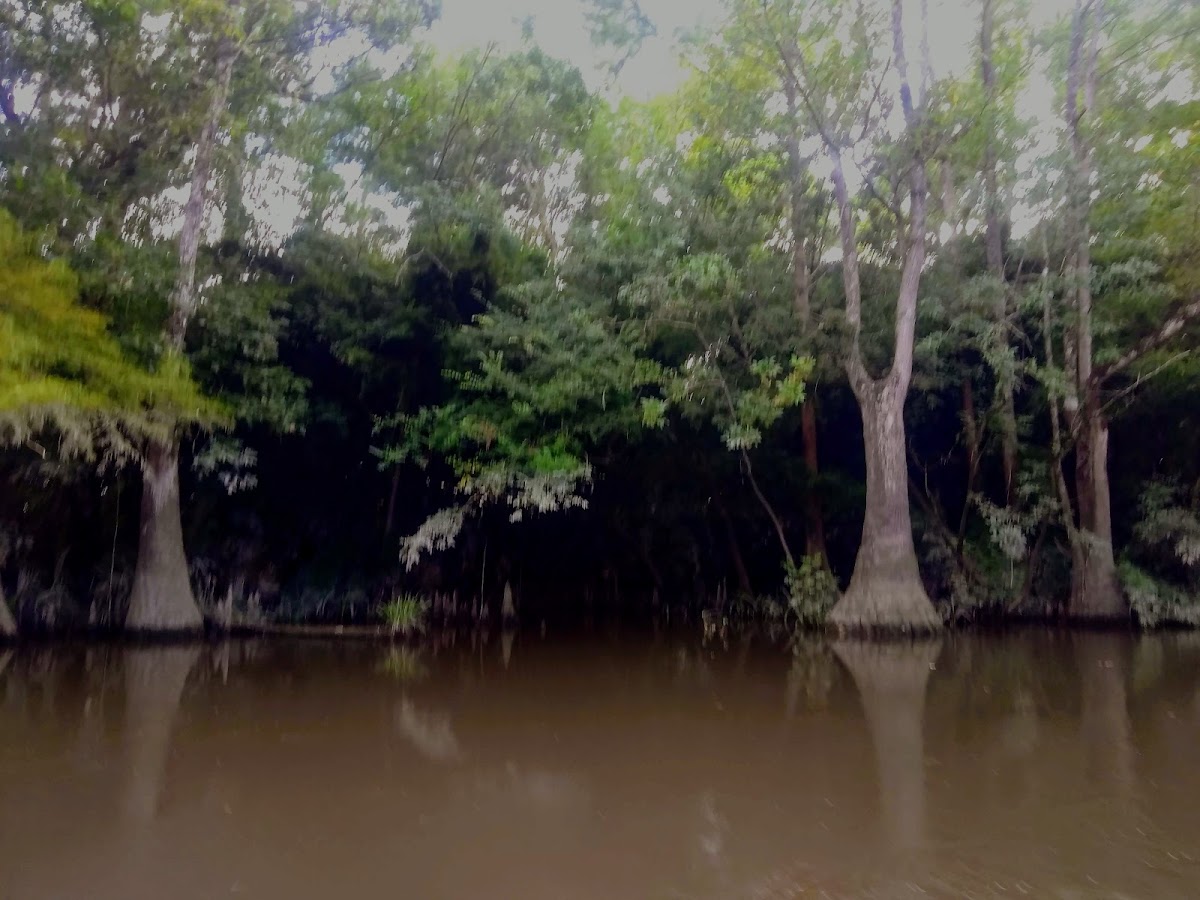 Houston River