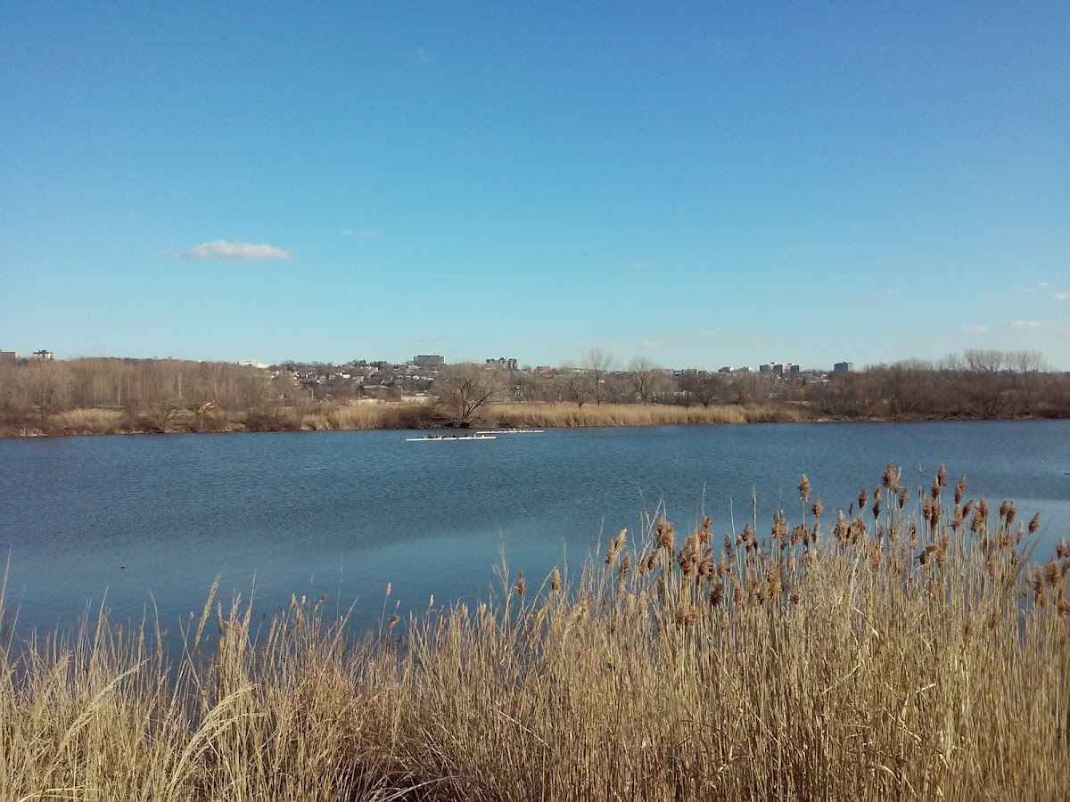 Overpeck Creek