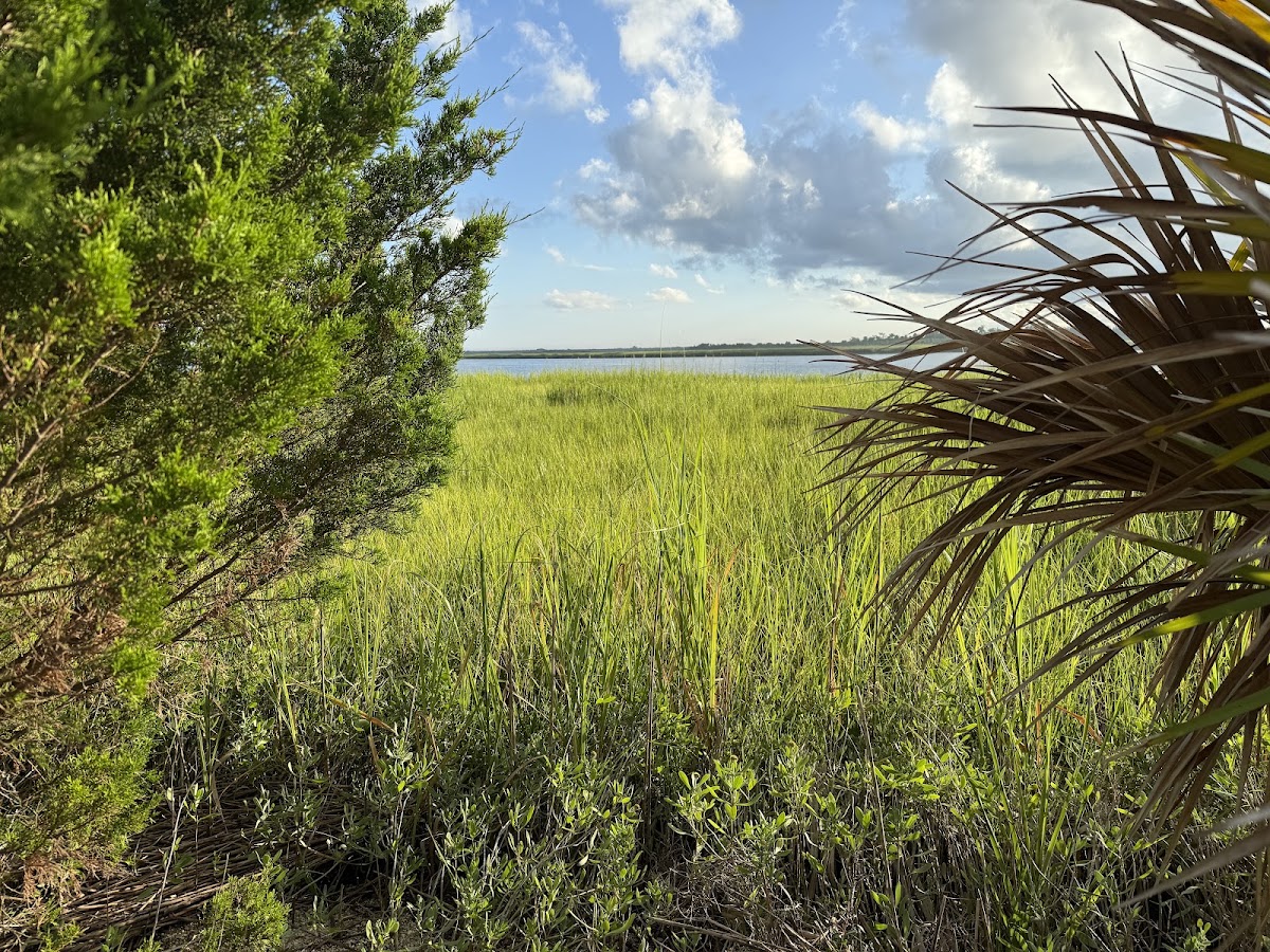 McQueen's Island Rails to Trails - Multipurpose Trail 3