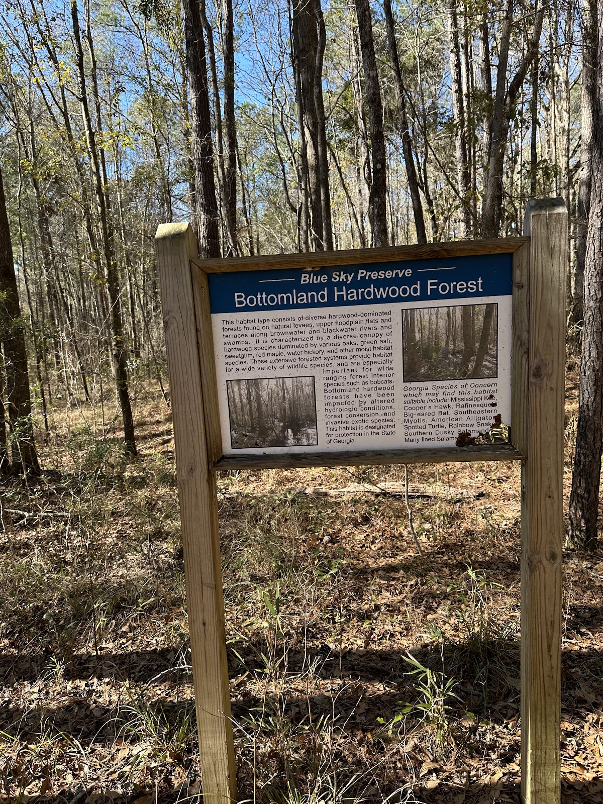 Blue Sky Preserve