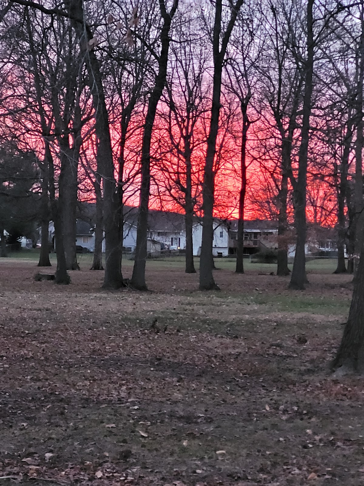 Hann Park