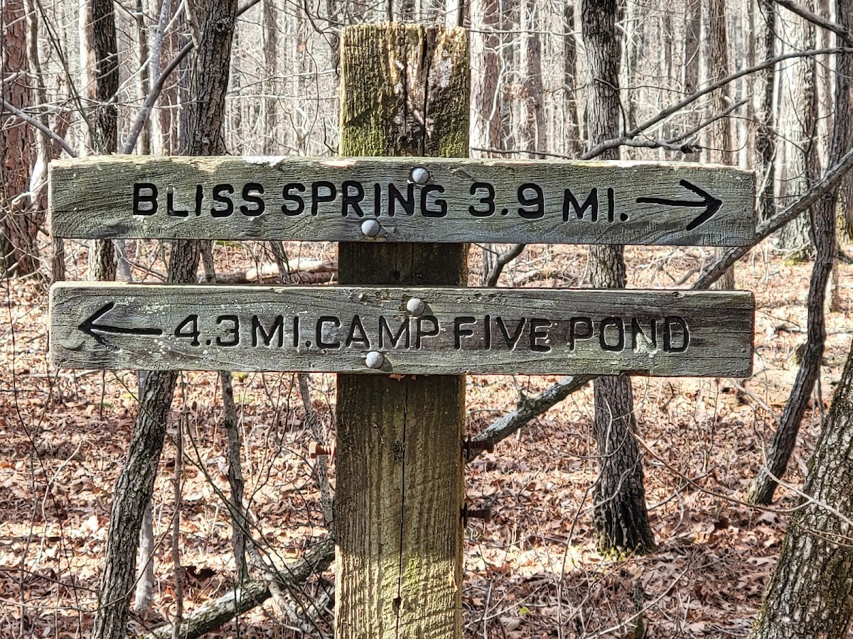 White Creek Trail