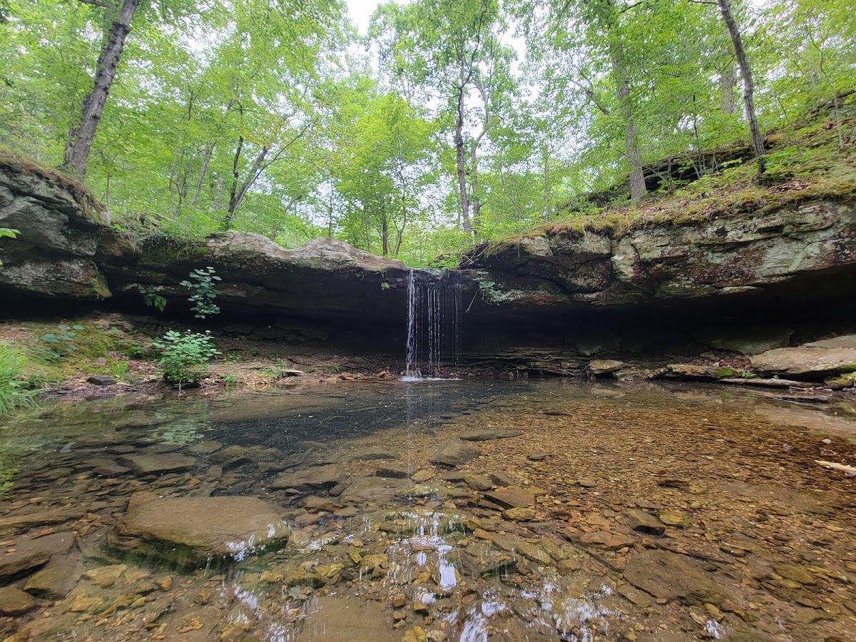 Big Piney Trail