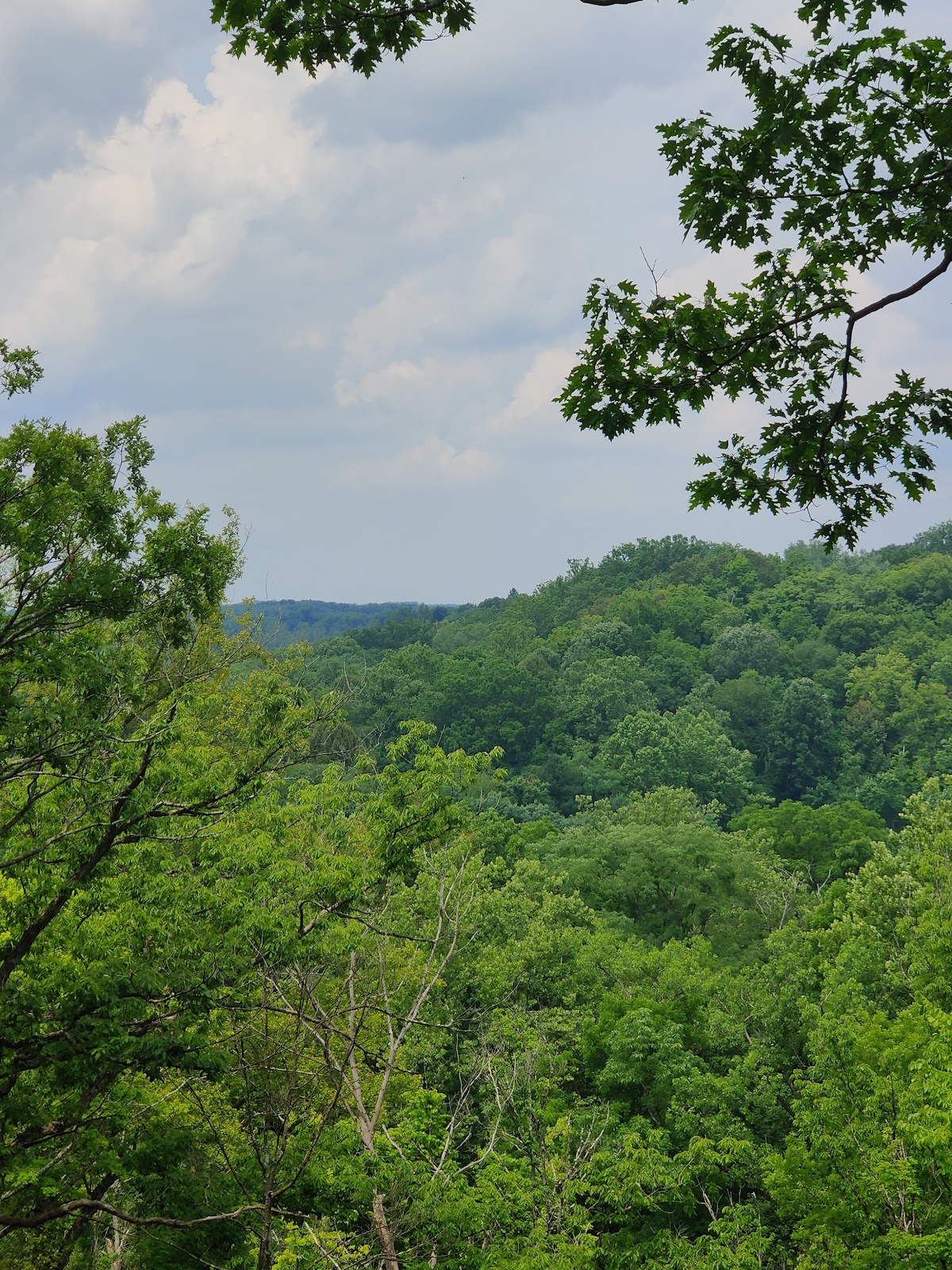 My Mountain Trail