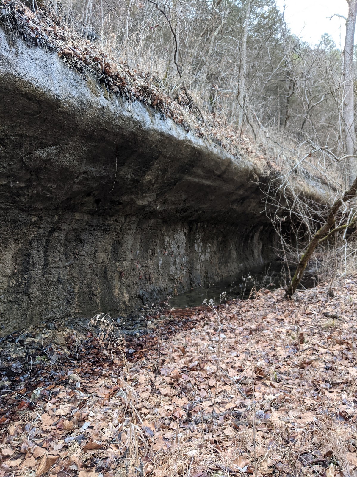Mary Hollow Trail