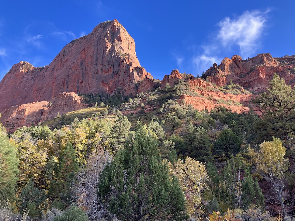 Taylor Creek Trail