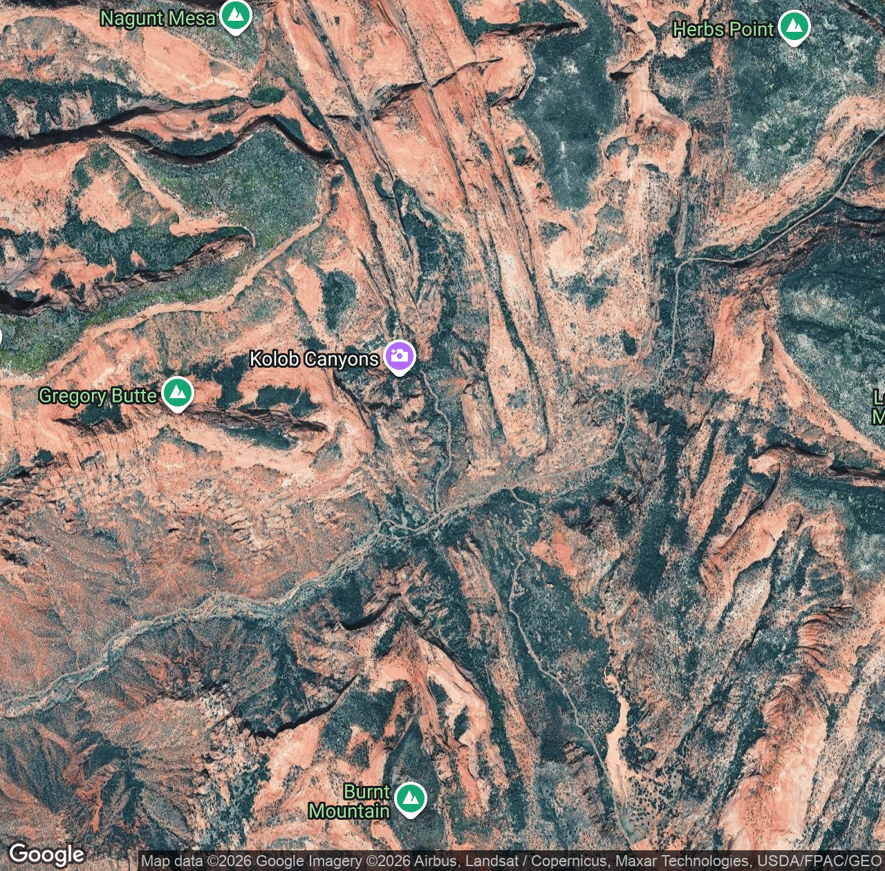 Kolob Arch Trail