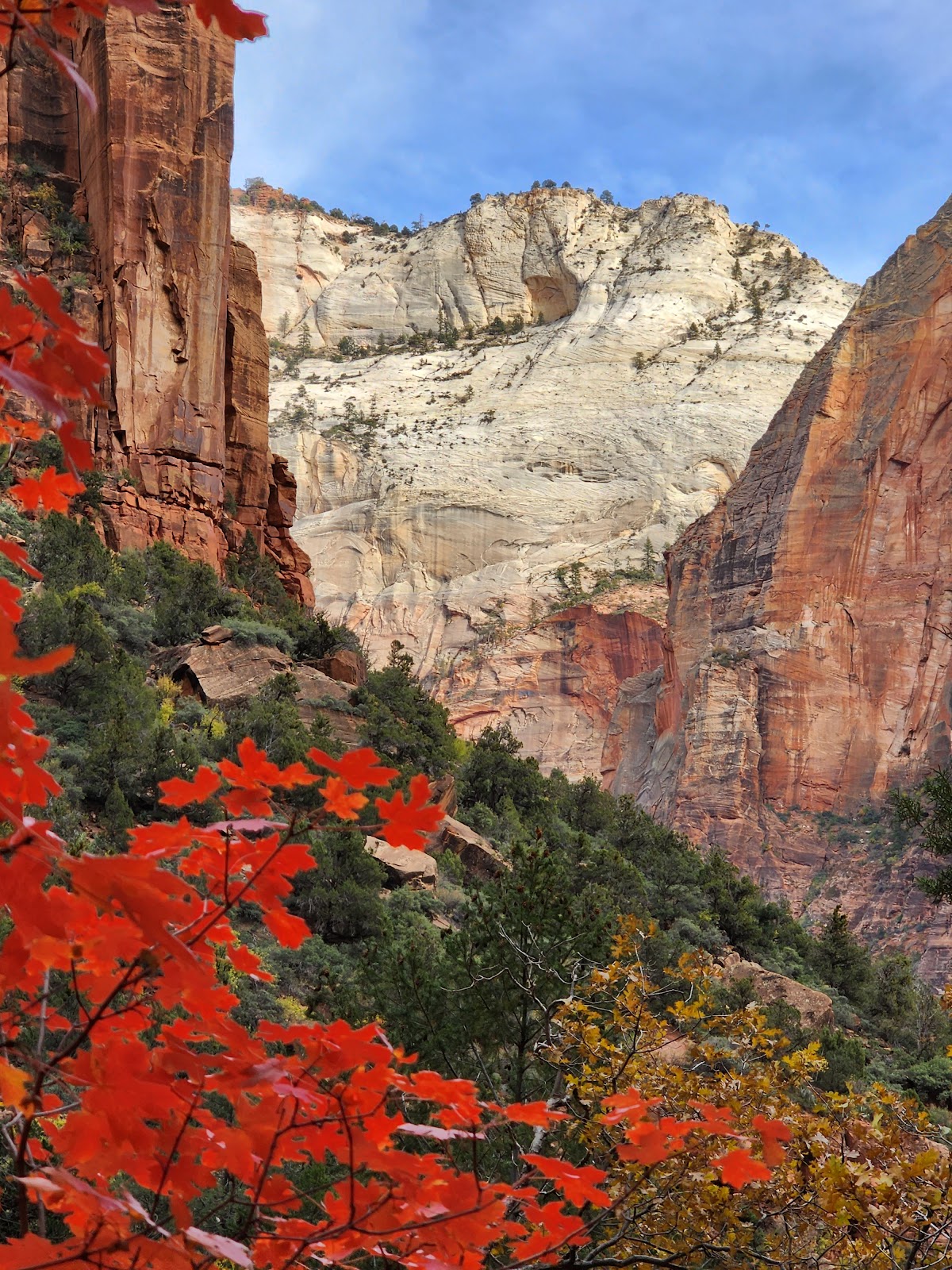 Lower Emerald Pool Trail