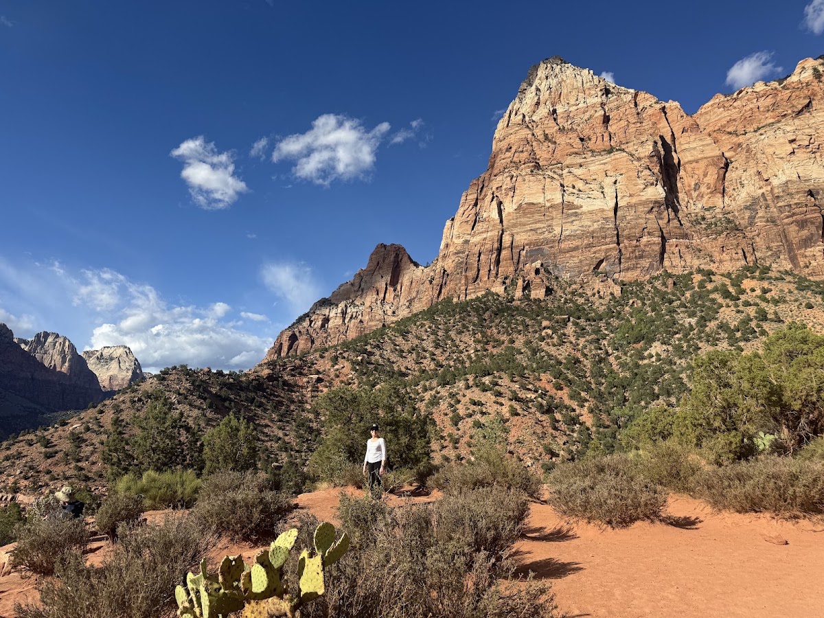 Watchman Trail