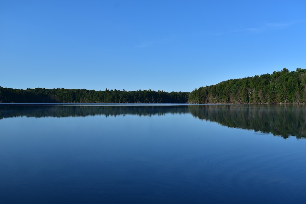 Petes Lake