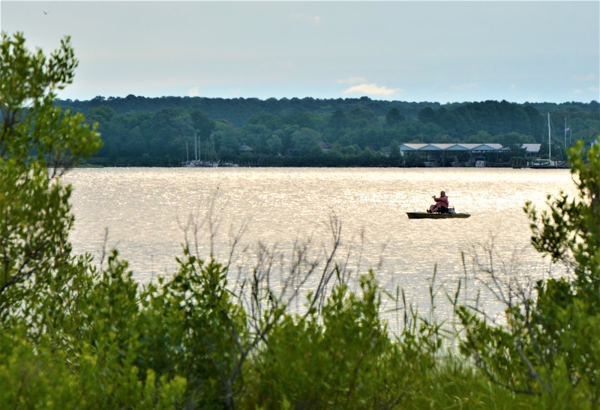 Smith Creek
