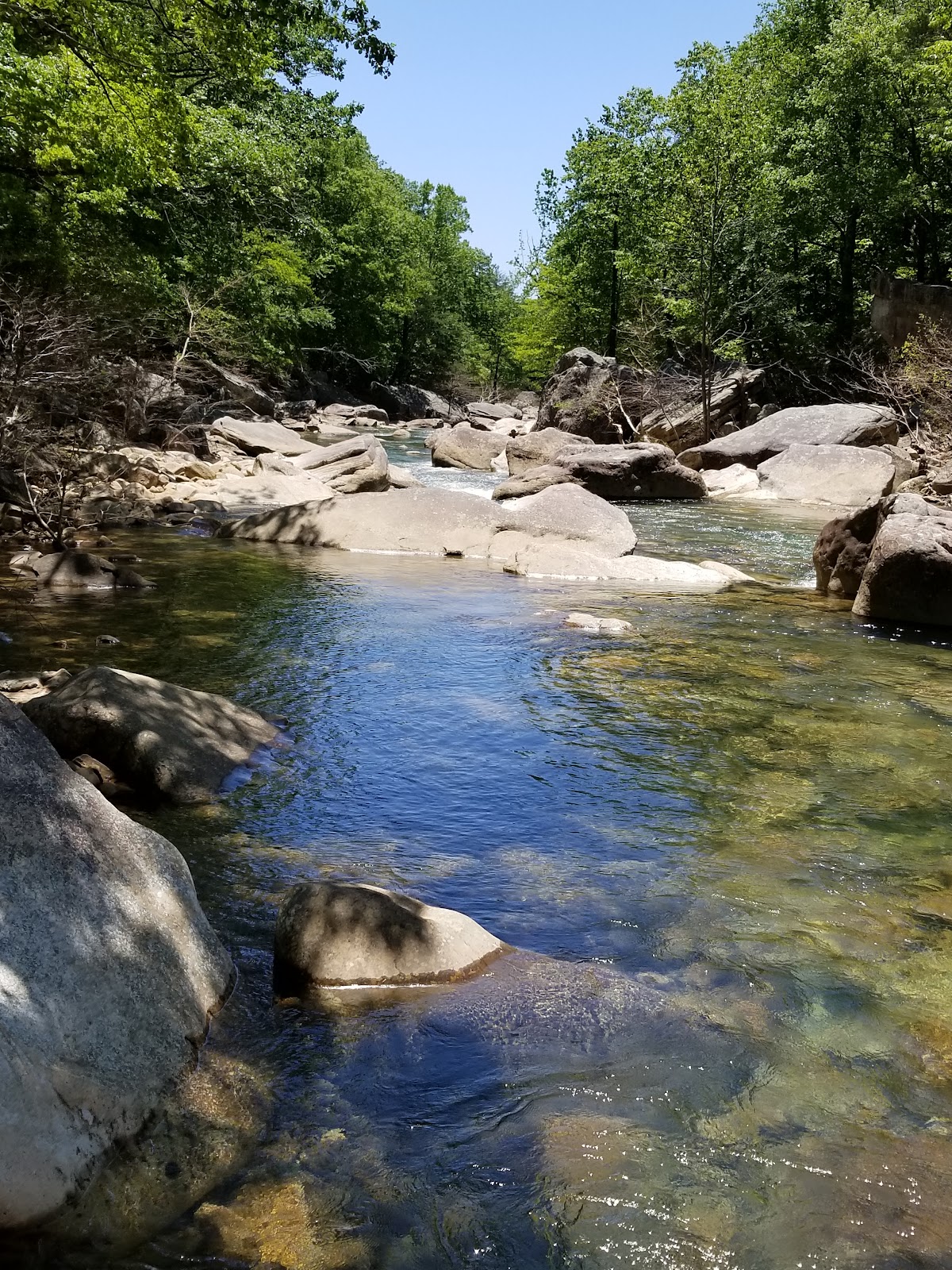 Tennessee River Gorge