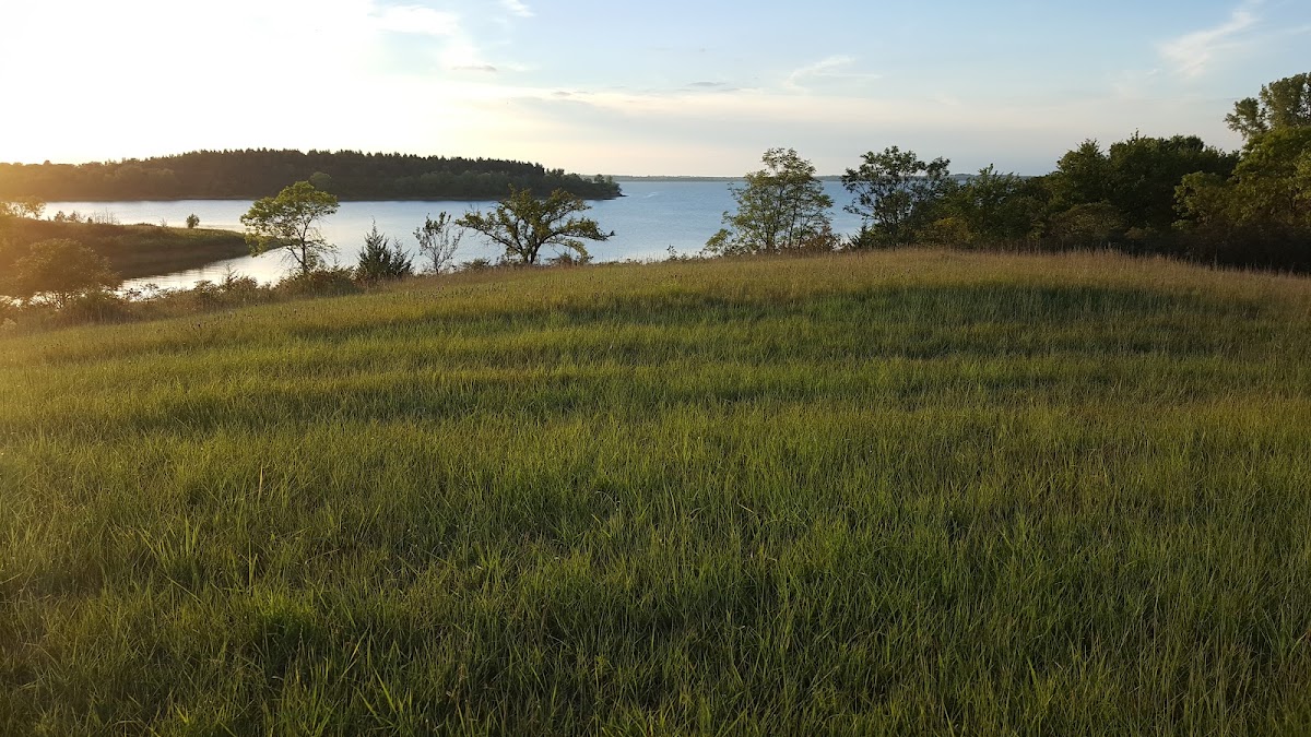 Rolling Hills Park