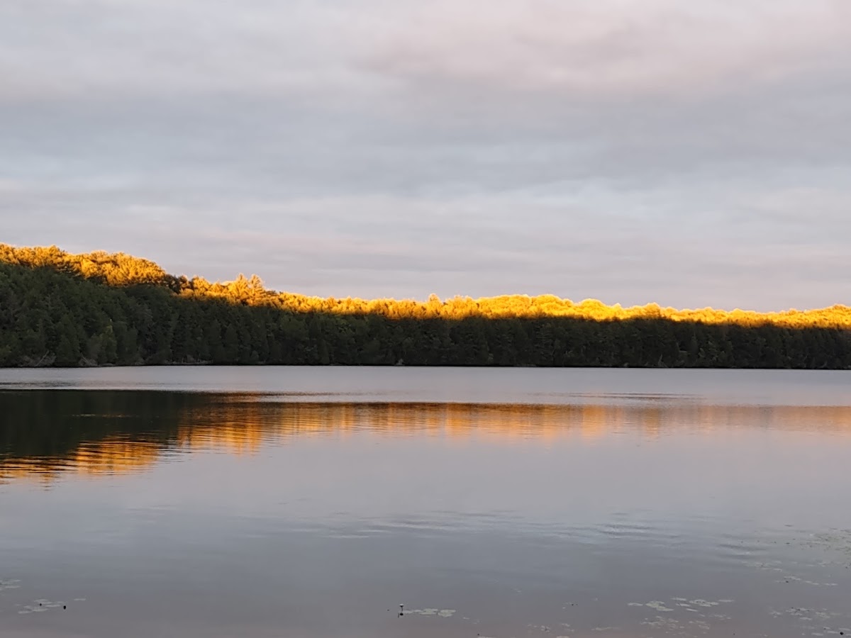 Murphy Lake