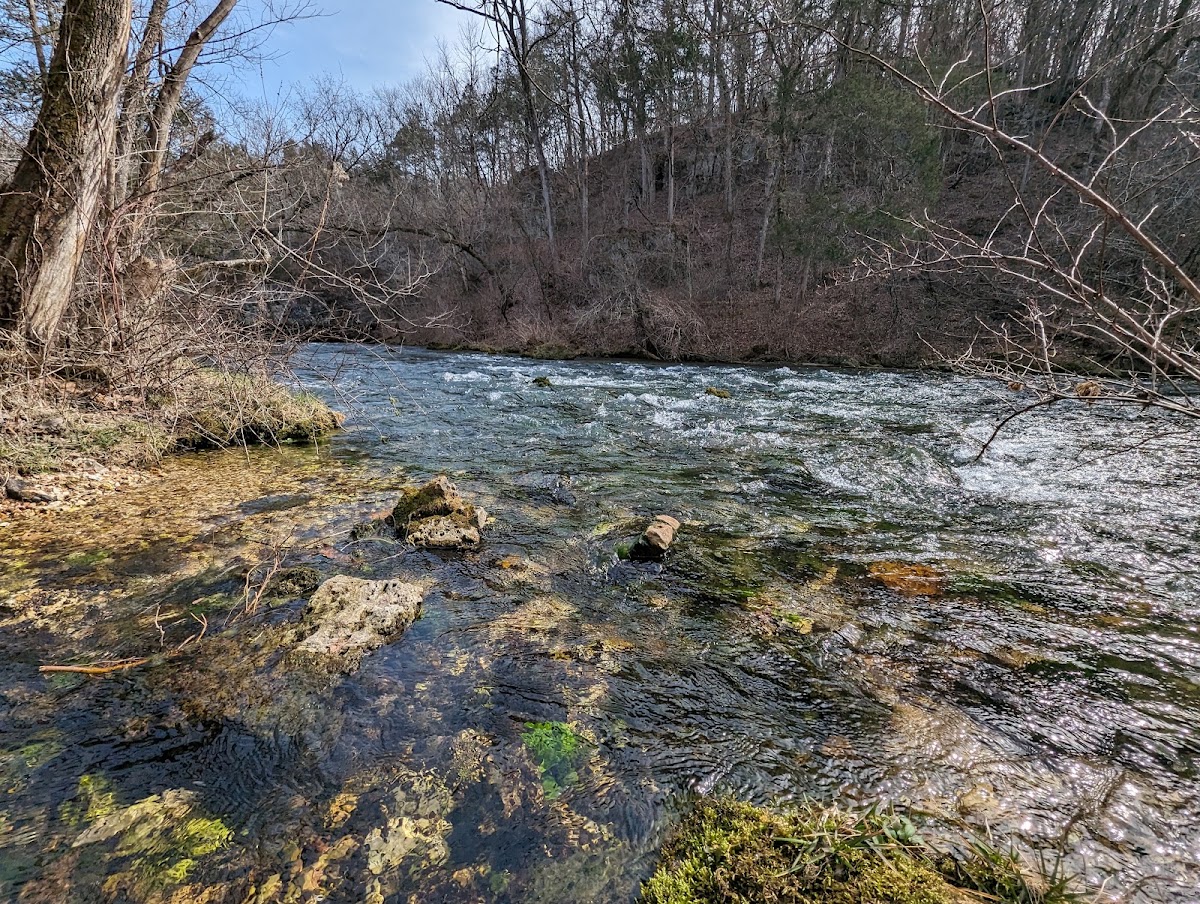 Ozark Trail - Current River Section