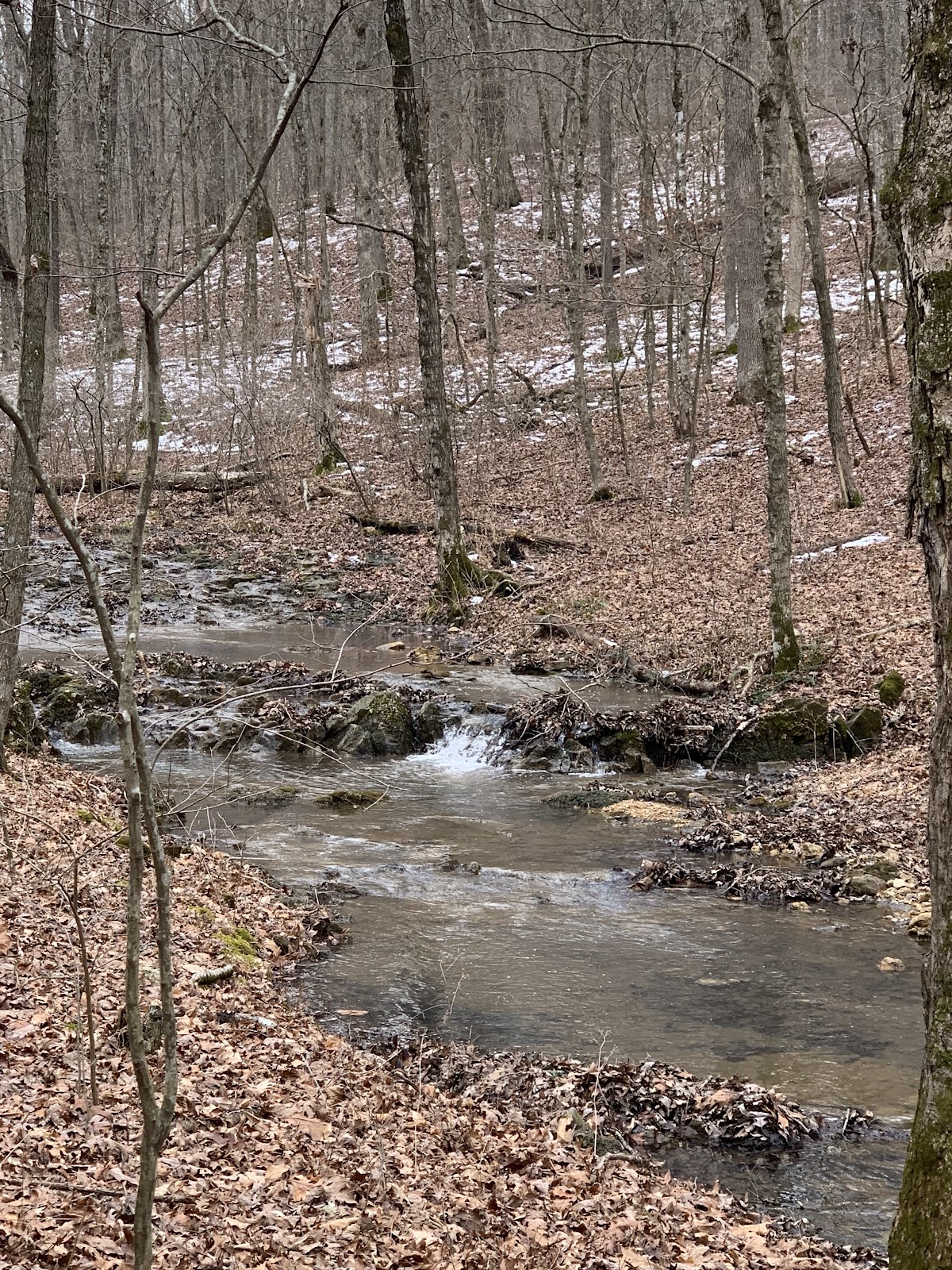 John J Audubon Trail